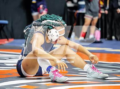 Thumbnail 2 in NYSPHSAA State Championships (wrestle backs to 3rd place) photogallery.