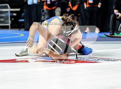 Thumbnail 2 in NYSPHSAA State Championships (wrestle backs to 3rd place) photogallery.