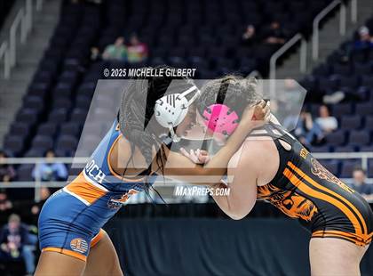 Thumbnail 3 in NYSPHSAA State Championships (wrestle backs to 3rd place) photogallery.