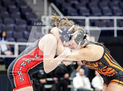 Thumbnail 2 in NYSPHSAA State Championships (wrestle backs to 3rd place) photogallery.