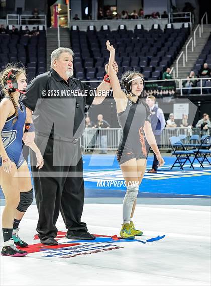 Thumbnail 1 in NYSPHSAA State Championships (wrestle backs to 3rd place) photogallery.