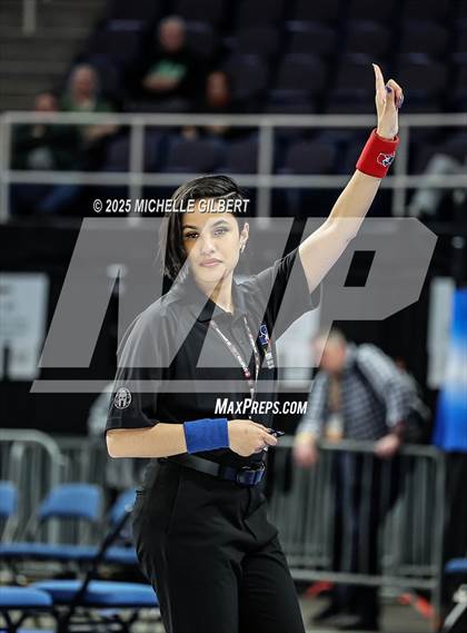Thumbnail 3 in NYSPHSAA State Championships (wrestle backs to 3rd place) photogallery.