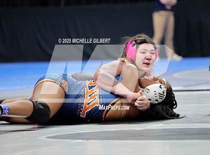 Thumbnail 2 in NYSPHSAA State Championships (wrestle backs to 3rd place) photogallery.