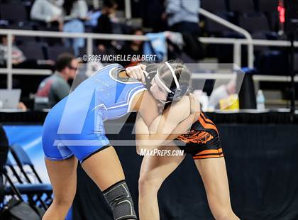Thumbnail 2 in NYSPHSAA State Championships (wrestle backs to 3rd place) photogallery.