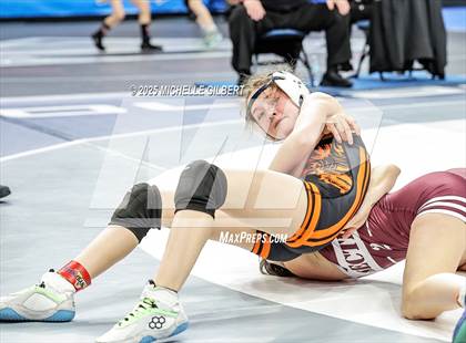 Thumbnail 1 in NYSPHSAA State Championships (wrestle backs to 3rd place) photogallery.