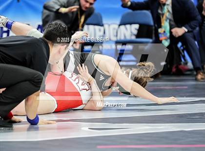 Thumbnail 2 in NYSPHSAA State Championships (wrestle backs to 3rd place) photogallery.
