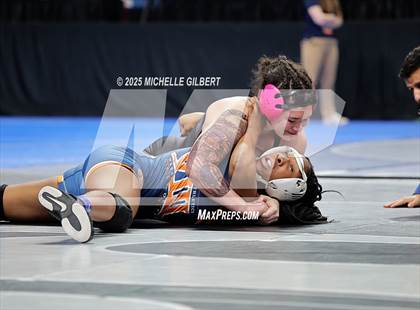 Thumbnail 2 in NYSPHSAA State Championships (wrestle backs to 3rd place) photogallery.