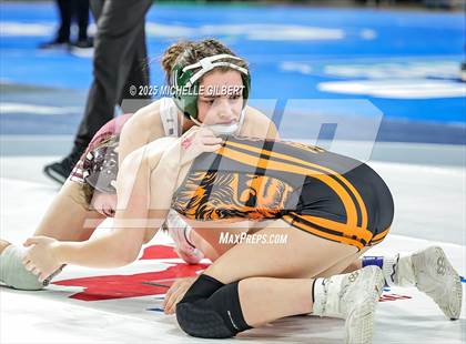 Thumbnail 2 in NYSPHSAA State Championships (wrestle backs to 3rd place) photogallery.