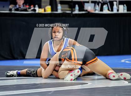 Thumbnail 2 in NYSPHSAA State Championships (wrestle backs to 3rd place) photogallery.