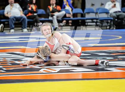 Thumbnail 2 in NYSPHSAA State Championships (wrestle backs to 3rd place) photogallery.