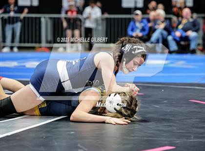 Thumbnail 2 in NYSPHSAA State Championships (wrestle backs to 3rd place) photogallery.