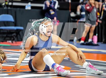 Thumbnail 3 in NYSPHSAA State Championships (wrestle backs to 3rd place) photogallery.