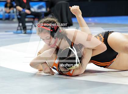 Thumbnail 2 in NYSPHSAA State Championships (wrestle backs to 3rd place) photogallery.