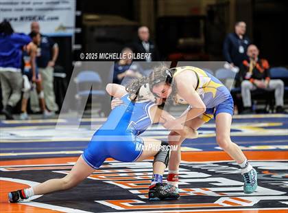 Thumbnail 1 in NYSPHSAA State Championships (wrestle backs to 3rd place) photogallery.
