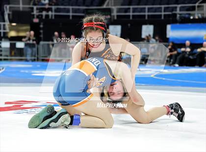 Thumbnail 1 in NYSPHSAA State Championships (wrestle backs to 3rd place) photogallery.