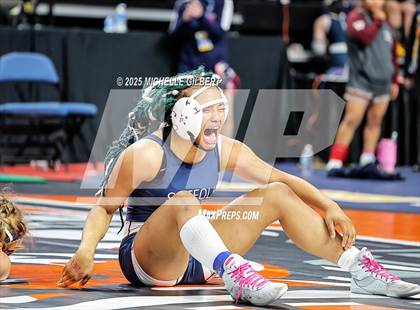 Thumbnail 1 in NYSPHSAA State Championships (wrestle backs to 3rd place) photogallery.