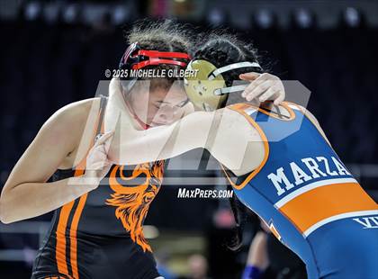 Thumbnail 3 in NYSPHSAA State Championships (wrestle backs to 3rd place) photogallery.