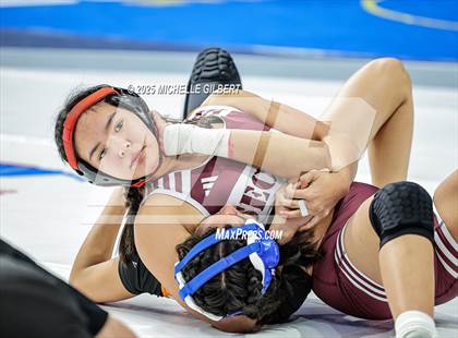 Thumbnail 3 in NYSPHSAA State Championships (wrestle backs to 3rd place) photogallery.