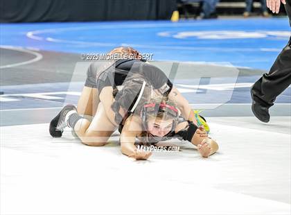 Thumbnail 1 in NYSPHSAA State Championships (wrestle backs to 3rd place) photogallery.