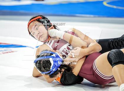 Thumbnail 1 in NYSPHSAA State Championships (wrestle backs to 3rd place) photogallery.