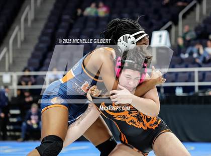 Thumbnail 1 in NYSPHSAA State Championships (wrestle backs to 3rd place) photogallery.