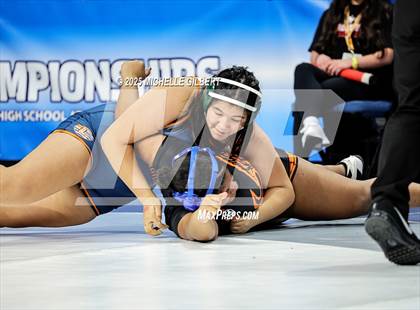 Thumbnail 3 in NYSPHSAA State Championships (wrestle backs to 3rd place) photogallery.