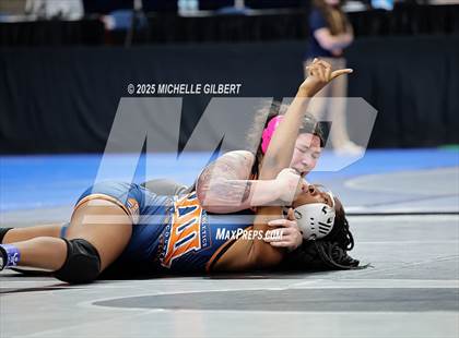 Thumbnail 3 in NYSPHSAA State Championships (wrestle backs to 3rd place) photogallery.