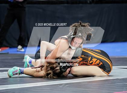 Thumbnail 2 in NYSPHSAA State Championships (wrestle backs to 3rd place) photogallery.