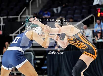Thumbnail 1 in NYSPHSAA State Championships (wrestle backs to 3rd place) photogallery.