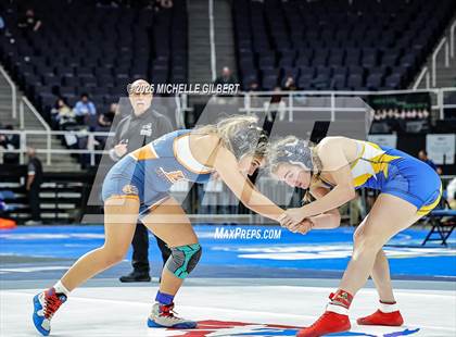 Thumbnail 1 in NYSPHSAA State Championships (wrestle backs to 3rd place) photogallery.