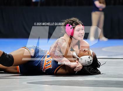 Thumbnail 3 in NYSPHSAA State Championships (wrestle backs to 3rd place) photogallery.