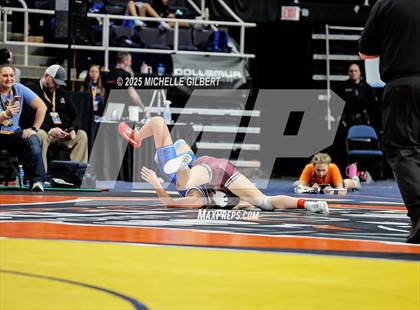 Thumbnail 1 in NYSPHSAA State Championships (wrestle backs to 3rd place) photogallery.