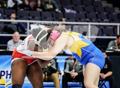 Thumbnail 1 in NYSPHSAA State Championships (wrestle backs to 3rd place) photogallery.