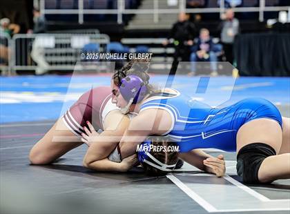 Thumbnail 1 in NYSPHSAA State Championships (wrestle backs to 3rd place) photogallery.