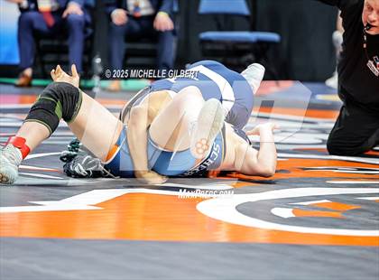 Thumbnail 2 in NYSPHSAA State Championships (wrestle backs to 3rd place) photogallery.
