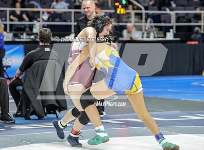 Thumbnail 1 in NYSPHSAA State Championships (wrestle backs to 3rd place) photogallery.