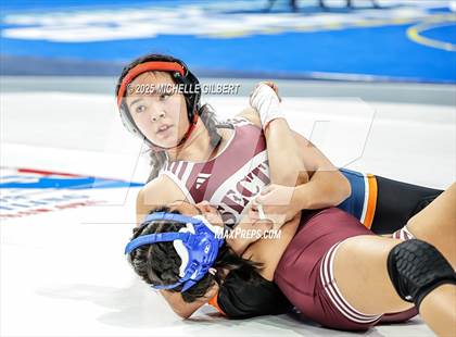 Thumbnail 2 in NYSPHSAA State Championships (wrestle backs to 3rd place) photogallery.