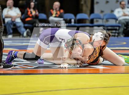 Thumbnail 3 in NYSPHSAA State Championships (wrestle backs to 3rd place) photogallery.