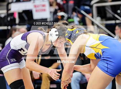 Thumbnail 3 in NYSPHSAA State Championships (wrestle backs to 3rd place) photogallery.