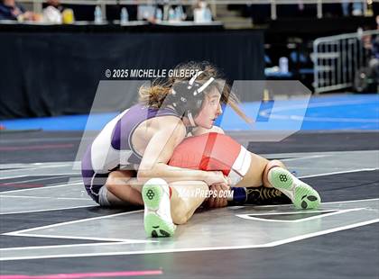 Thumbnail 1 in NYSPHSAA State Championships (wrestle backs to 3rd place) photogallery.
