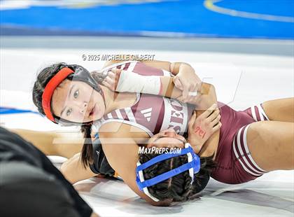 Thumbnail 2 in NYSPHSAA State Championships (wrestle backs to 3rd place) photogallery.