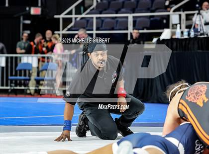Thumbnail 3 in NYSPHSAA State Championships (wrestle backs to 3rd place) photogallery.