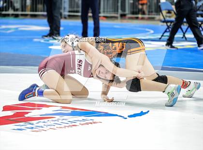Thumbnail 2 in NYSPHSAA State Championships (wrestle backs to 3rd place) photogallery.