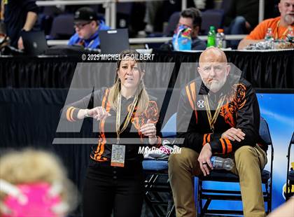 Thumbnail 3 in NYSPHSAA State Championships (wrestle backs to 3rd place) photogallery.