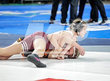 Thumbnail 2 in NYSPHSAA State Championships (wrestle backs to 3rd place) photogallery.