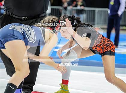 Thumbnail 3 in NYSPHSAA State Championships (wrestle backs to 3rd place) photogallery.