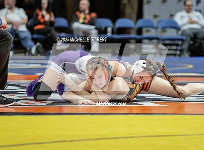 Thumbnail 2 in NYSPHSAA State Championships (wrestle backs to 3rd place) photogallery.