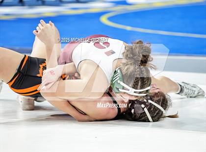 Thumbnail 3 in NYSPHSAA State Championships (wrestle backs to 3rd place) photogallery.