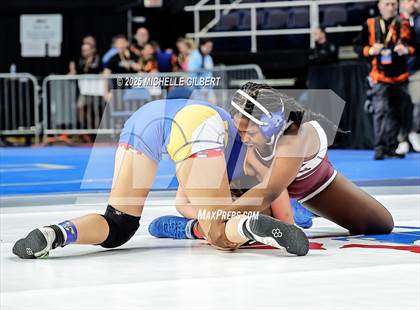 Thumbnail 1 in NYSPHSAA State Championships (wrestle backs to 3rd place) photogallery.