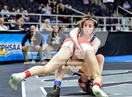 Thumbnail 2 in NYSPHSAA State Championships (wrestle backs to 3rd place) photogallery.
